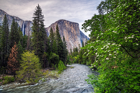 Yosemite