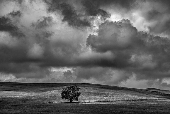 Alone in the Storm