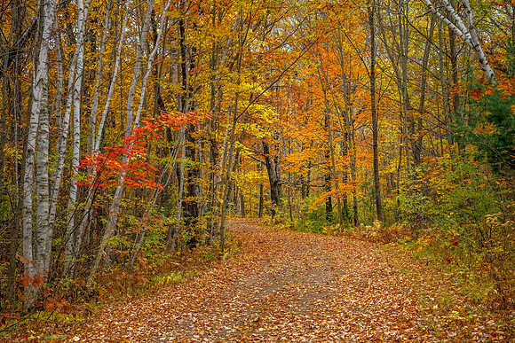 Road to Tranquility