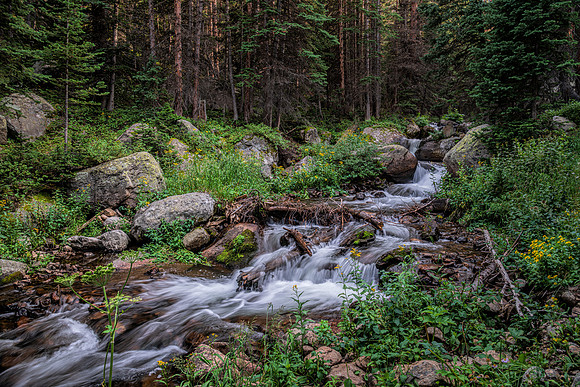 Tranquil - Rocky Mountain NP