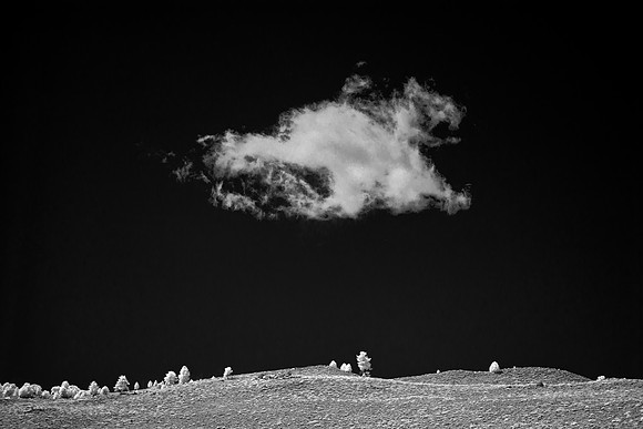 Solitary Infrared