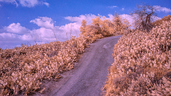 Infrared
