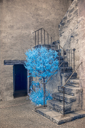 Ancient Stairway - Infrared