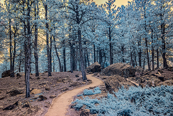 Trail of Time - Devils Tower - Infrared