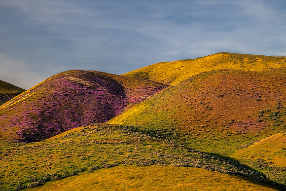 Carrizo Plains