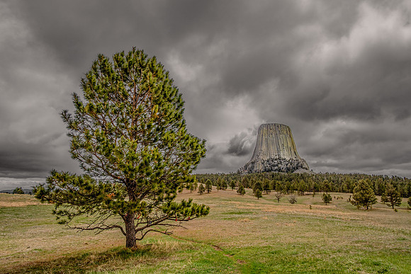 Devils Tower