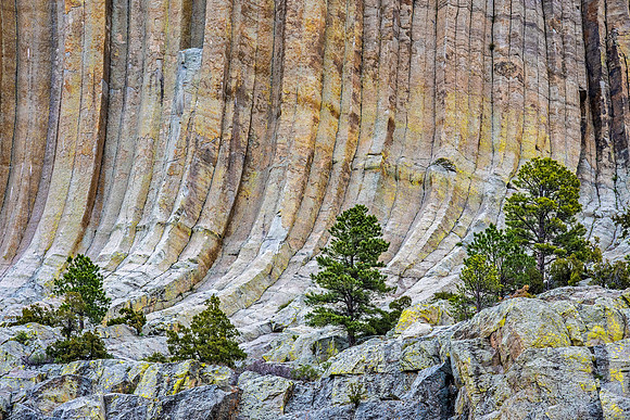 Devils Tower