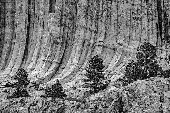 Devils Tower